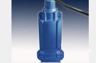 Submersible (IP68) Motor